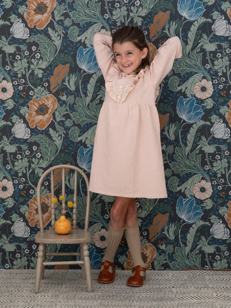 Petite sales lucette dress